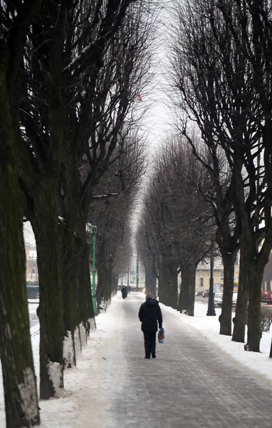 Фото Зимовий Пейзаж Чорними Деревами Незвичайний Дорогою — стокове фото
