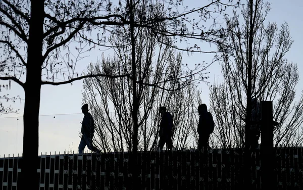 Foto Silhouetten Van Mensen Het Park Het Voorjaar Stockfoto