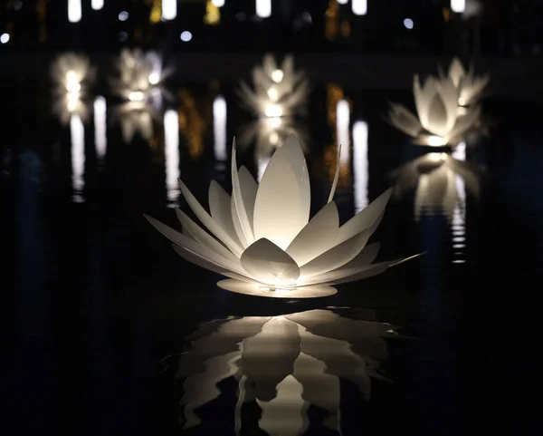 Foto Einer Glühenden Seerose See Frühling Park — Stockfoto