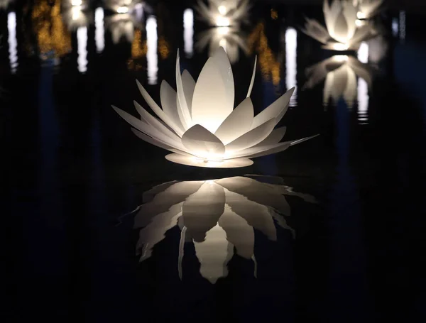 照片上是春天公园里湖中的一个发光的睡莲 — 图库照片