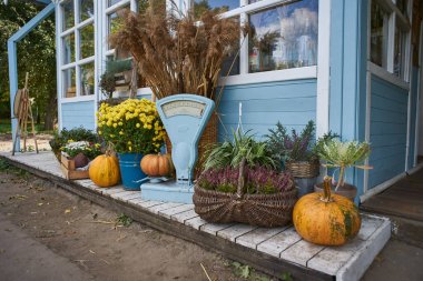 Küçük Provence bahçesi, eski ahşap ev