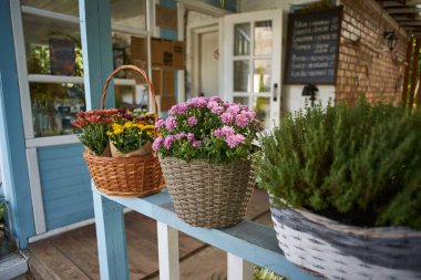 Küçük Provence bahçesi, eski ahşap ev