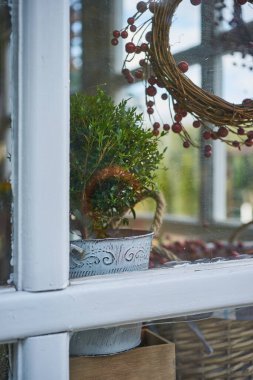 Provence bahçesindeki kırsal pencere, eski tarz.