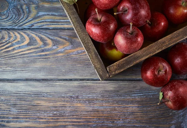 Ahşap arka planda doğal organik kırmızı elmalar