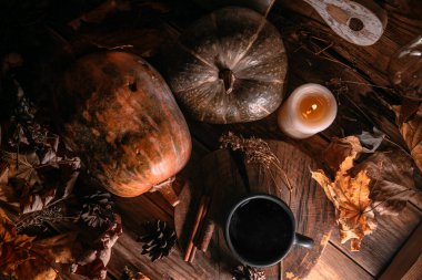 Sonbahar durgun hayat, balkabakları, ampul ve kırsal arka planda kuru yapraklar