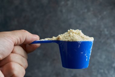 Protein tozu, bir kepçe süt proteini tozu, sporcular ve vücut geliştiriciler için spor beslenmesi.