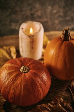 Sonbahar balkabakları ve ahşap arka planda bir mum.