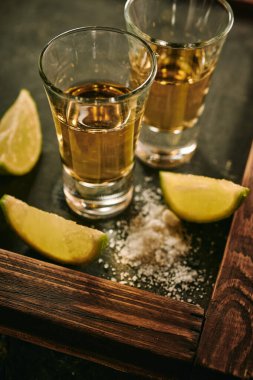 Limon ve tuz dilimli tekila.