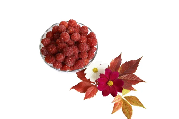 Himbeeren in einer Glasvase mit Blättern und Blüten — Stockfoto