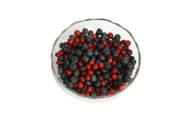 Berries cowberry and whortleberry in a glass vase on a white background — Stock Photo, Image