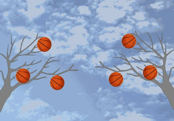 Баскетбольні м'ячі висять на деревах на небі — стокове фото