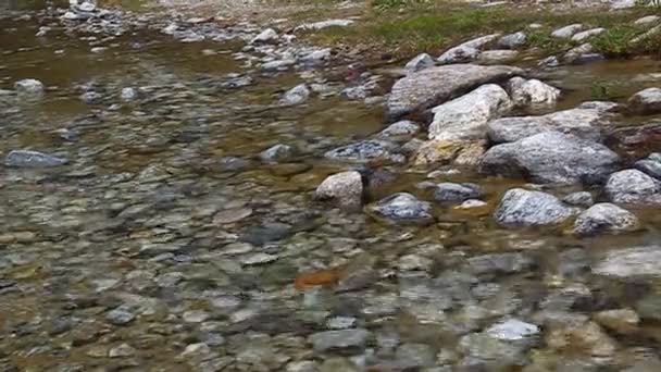 With its clear water stream flowing over rocks — Stock Video