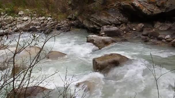 Mountain river flows among beautiful stones — Stock Video