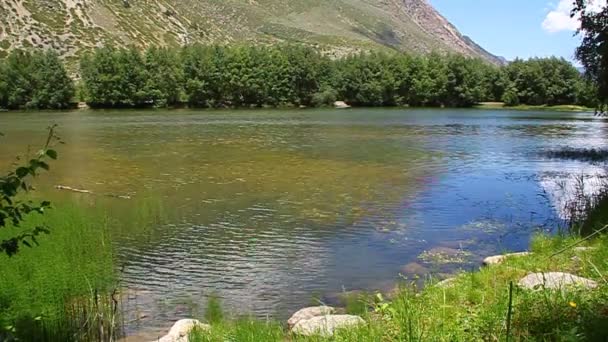 Härligt berg sjöstranden, vinden blåser vattnet — Stockvideo