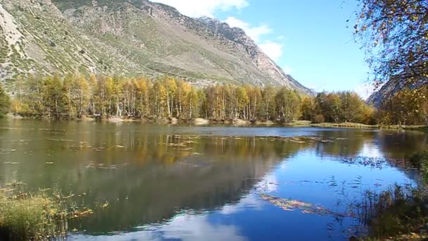 Krásné jezero s žluté stromy na pláži a zasněženými vrcholy v dálce — Stock video