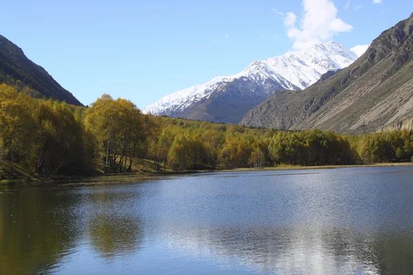 ビーチ、遠くに雪をかぶった山に黄色の木がある美しい湖 — ストック写真