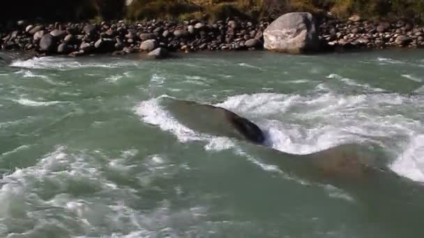 高速で、きれいな、その間を流れる山川の石します。 — ストック動画