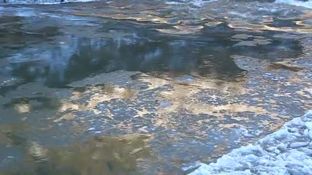 Floe galleggiante sul fiume, illuminato dal sole dorato — Video Stock