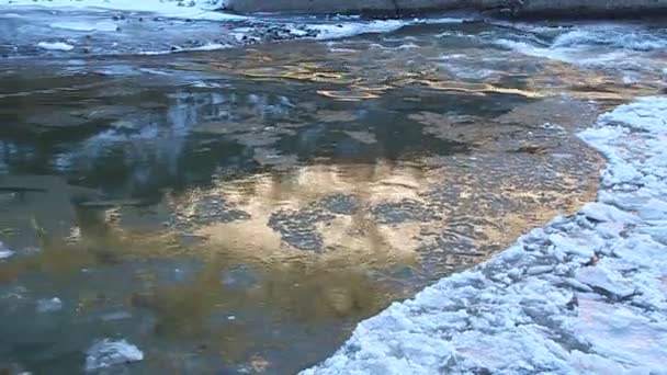 Floe flotando en el río, iluminado por el sol dorado — Vídeos de Stock