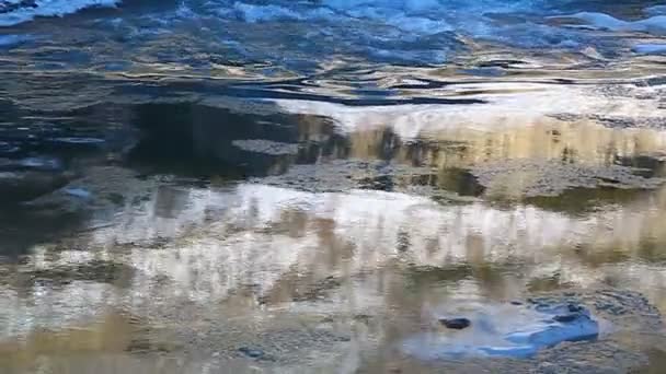 Floe flotando en el río, iluminado por el sol dorado — Vídeo de stock