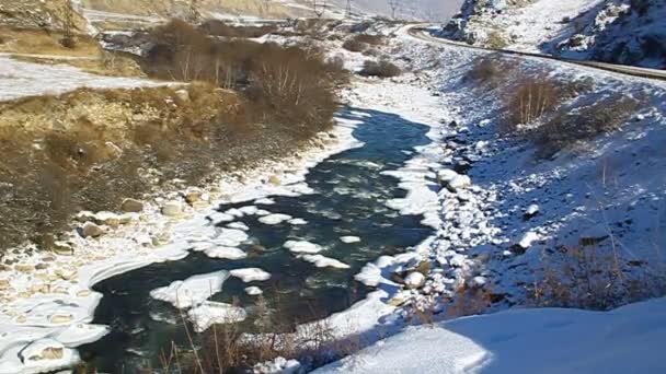 Vilda djur, ren, berg flod som rinner i dalen — Stockvideo