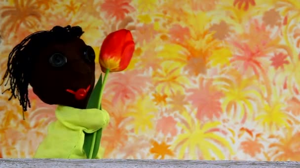 Boneca dá Africano tulipa menina africana — Vídeo de Stock
