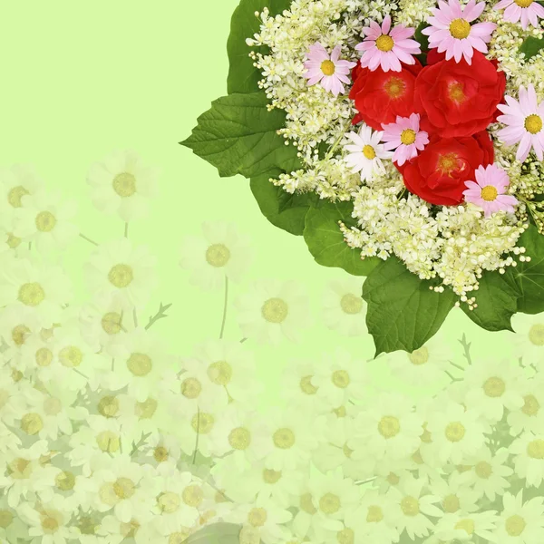 Escénico fondo floral beige con rosas, margaritas y pulga verde —  Fotos de Stock