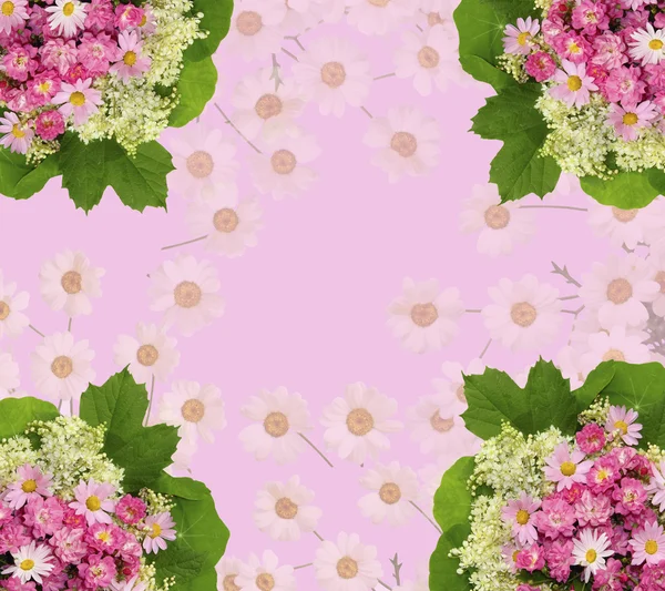 Escénico fondo floral rosa con rosas, margaritas y hoja verde —  Fotos de Stock