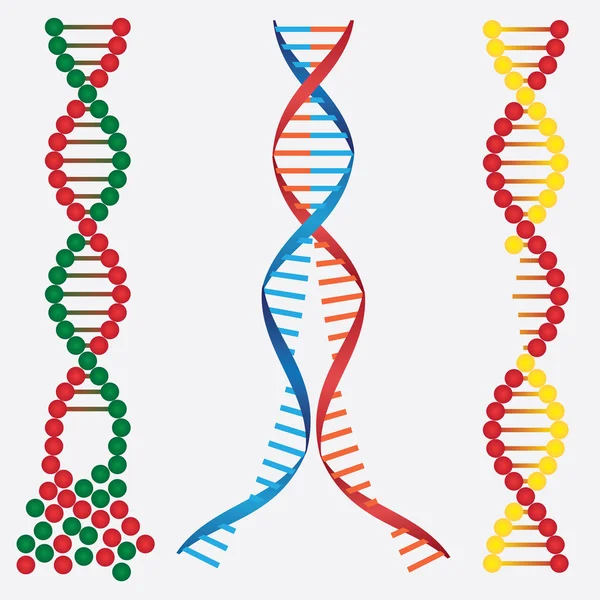 Пошкодження ДНК . Ліцензійні Стокові Ілюстрації