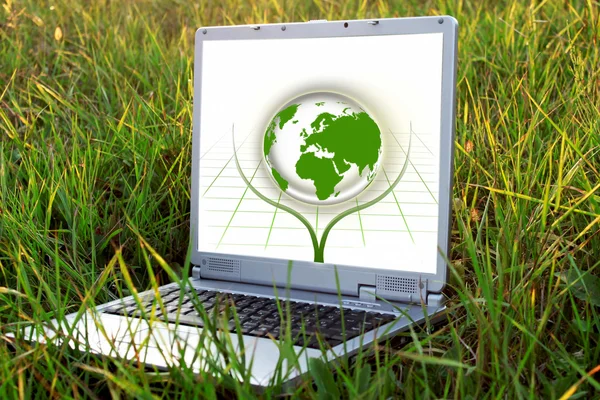 Zilveren laptop op groen gras. ecologie concept — Stockfoto