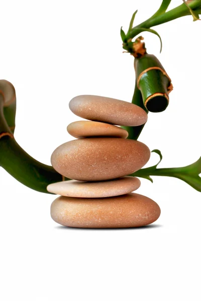 Theraphy spa stones with bamboo — Stock Photo, Image