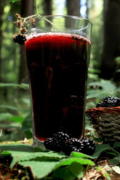 ブラックベリーのジュースのガラス — ストック写真