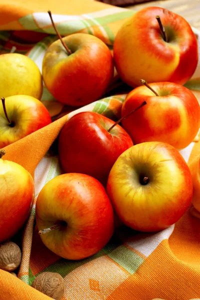 Sortimento de maçãs de outono — Fotografia de Stock