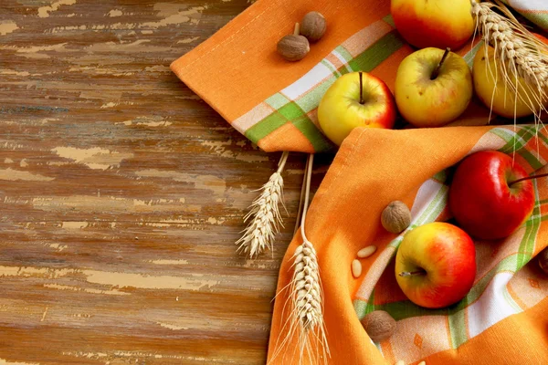 Surtido de manzanas de otoño — Foto de Stock