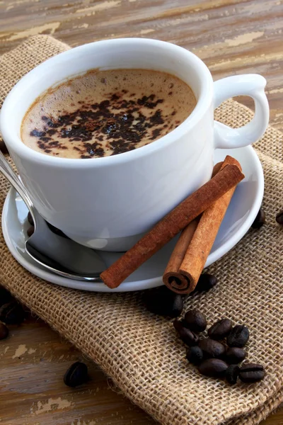 Cup of capuccino with cinnamon and cocoa — Stock Photo, Image