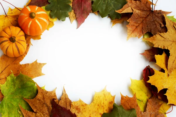 Pompoenen en herfst bladeren frame — Stockfoto