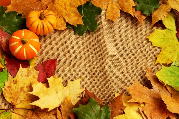 Kürbisse und Herbstblätter rahmen ein — Stockfoto