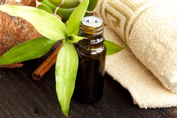Spa bamboo and essential oil — Stock Photo, Image