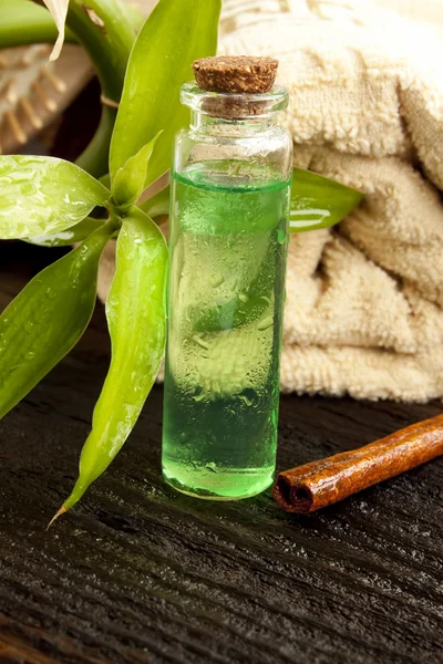 Tea Tree Essence — Stock Photo, Image