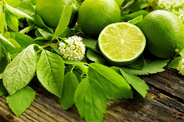 Lime — Stock Photo, Image