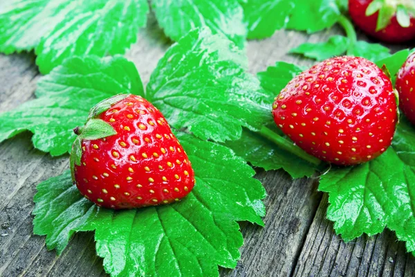 Frutos de morango — Fotografia de Stock