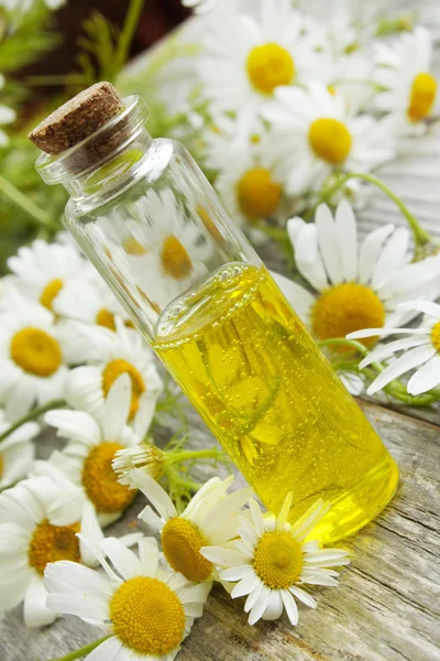 Chamomile essence and flowers — Stock Photo, Image