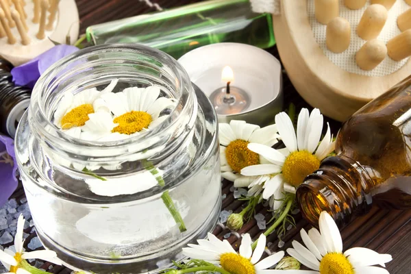 Kamille bloemen essentie van spa — Stockfoto