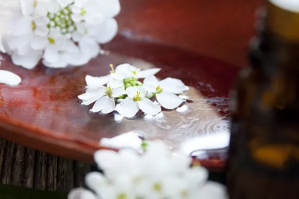 Delicadas flores blancas de spa flotando en el agua —  Fotos de Stock