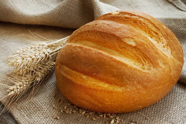 Fresh bread and ears of wheat — Stock Photo, Image