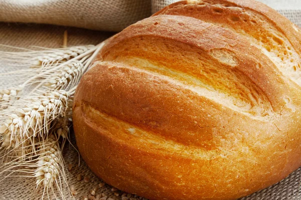 Pão fresco e espigas de trigo — Fotografia de Stock