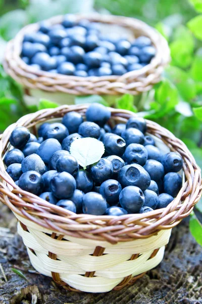 Blueberries basket closeup — Stock Photo, Image