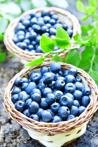 Blueberries basket closeup — Stock Photo, Image