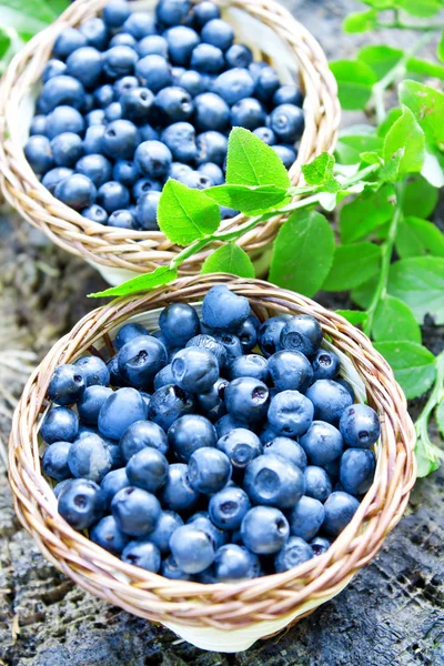 Blueberries baskets — Stock Photo, Image