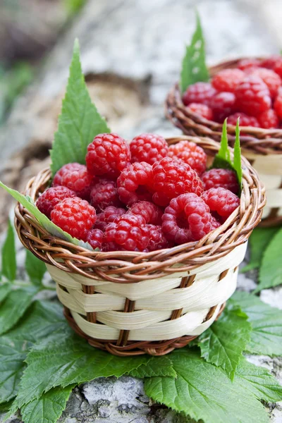 Raspberry manden — Stockfoto